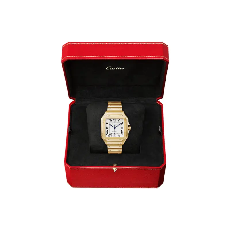 Santos de Cartier Large Automatic - Image 6